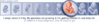 dev200pb___.png