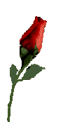 rose21.gif