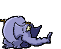 slonie%20(15).gif