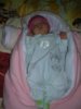 DSCN1527.JPG