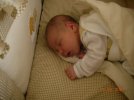 DSCN1632a.jpg