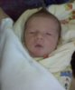 DSC00156a.jpg
