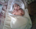 IMG00295..jpg