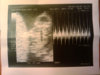 2010-04-09 20.28.22&.jpg