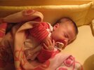 IMG_4740..jpg