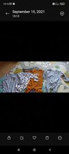 Screenshot_2021-09-15-13-16-26-540_com.miui.gallery.jpg