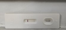 IMG_20211009_095317.jpg