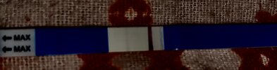 22BE7F66-7D4F-4A49-84D1-B16A4193D042.jpeg