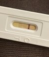F9EDBD27-DEC8-472B-9986-1F5FC1F0FC37.jpeg