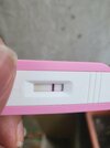 20220406_080032.jpg