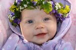 IMG_1042 [800x600].jpg