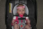 IMG_1247 [800x600].jpg