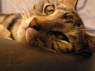 P3040062a.jpg