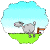 016.gif