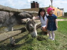 IMG_8044.jpg IMG_8044.jpg