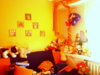DSC01986.jpg