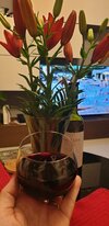 20220708_224651.jpg 20220708_224651.jpg