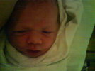 DSC00087.jpg