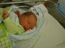 DSC01255.jpg