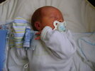 DSC01272.jpg