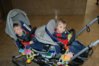 DSC08618.jpg
