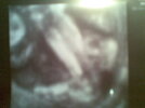 foto254c.jpg