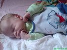 DSC01526.jpg