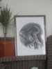 img0236br.jpg