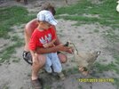 SDC15310.jpg