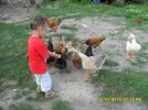 SDC15327.jpg