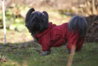 DSC07326.jpg