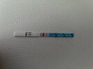 IMG_1206.jpeg