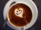 Kawa_chroni_prostate_3727034.jpg Kawa_chroni_prostate_3727034.jpg