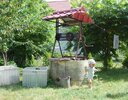 DSC_5877.jpg