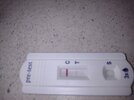 IMG_20230322_154037295.jpg