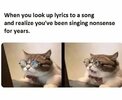 FB_IMG_1683376573179.jpg