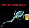 FB_IMG_1684574485194.jpg