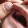 IMG_2081.jpeg