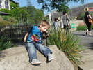 SDC18104.jpg SDC18104.jpg