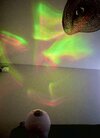 IMG_5242.jpeg