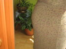 test 009.jpg