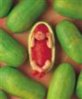 galeria anne geddes 60.jpg