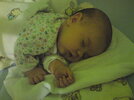 DSC00113.jpg DSC00113.jpg