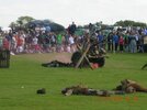 DSCN4100_800x600.jpg