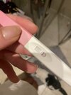 IMG_2399.jpeg