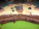 tort 002.jpg tort 002.jpg