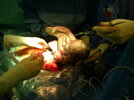 DSCN4532.jpg