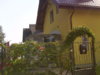 DSC01114.jpg