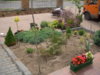DSCN0619.jpg