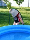 DSCF7009.JPG